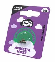 Amnesia Haze Cannabissamen - Holy Hemp