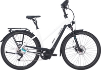 B-Ware B-Ware Pegasus Premio Evo 10 Lite Comfort 400Wh (Rahmenh. Pegasus: 50 cm Körpergrösse 160 - 170 cm)