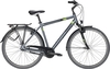 Citybike Pegasus Piazza 7 Herren grau (Rahmenh. Pegasus: 48 cm Körpergrösse 160 - 170 cm)