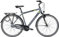 Citybike Pegasus Piazza 7 Herren grau (Rahmenh. Pegasus: 48 cm Körpergrösse 160 - 170 cm)