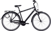 Citybike Pegasus Piazza 7 Herren schwarz matt (Rahmenh. Pegasus: 55 cm Körpergrösse 175 - 185 cm)