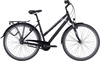 Citybike Pegasus Piazza 7 trapez schwarz matt (Rahmenh. Pegasus: 45 cm Körpergrösse 150 - 160 cm)