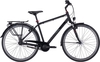 Citybike Pegasus Solero SL7 Herren schwarz. 2023 (Rahmenh. Pegasus: 60 cm Körpergrösse ab 190 cm)