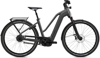 Damen E-Bike Flyer Gotour 7.23 Trapez 750WH (Rahmenhöhe: M = 48 cm 165 - 175 cm)