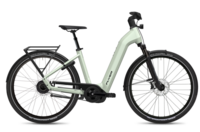 Damen E-Bike Flyer Gotour 7.23 Wave sage 750WH (Rahmenhöhe: L = 53 cm 175 - 185 cm)