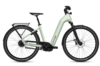 Damen E-Bike Flyer Gotour 7.23 Wave sage 750WH (Rahmenhöhe: M = 48 cm 165 - 175 cm)