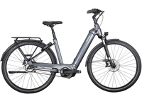 Damen E-Bike Kettler Quadriga P5 Benelux HD Belt RT. 2024 (Rahmenhöhe: 53 cm Körpergröße 170 - 180 cm)