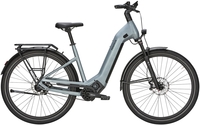 Damen E-Bike Pegasus Estremo Evo 12 Lite. 2024 (Rahmenhöhe: Körpergröße: 175-195 cm (L) Trek.)