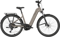 Damen E-Bike Pegasus Premio Evo 10 Lite. 2025 (Rahmenhöhe: Körpergröße: 165-185 cm (M) Trek. / Akku: 800 Wh)