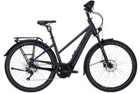 Damen E-Bike Pegasus Premio Evo 10 Lite Comfort trapez schwarz (Akkukapazität: Bosch 625 Wh / Rahmenhöhe: 45 cm)