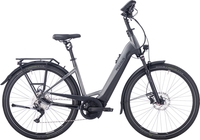 Damen E-Bike Pegasus Premio Evo 10 Lite Comfort Wave (Akkukapazität: Bosch 400 Wh / Rahmenhöhe: 50 cm)