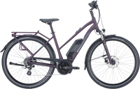 Damen E-Bike Pegasus Solero E8 Plus trapez berry. 2023 (Akkukapazität: Bosch 500 Wh / Rahmenh. Pegasus: 45 cm Körpergrösse 150 - 160 cm)