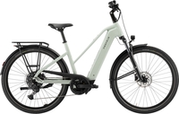 Damen E-Bike Pegasus Solero Evo 10 unisex sage. 2026 (Rahmenhöhe: 55 cm Körpergrösse 175 - 185 cm / Akkukapazität: 600 Wh (Bosch))