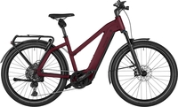 Damen E-Bike Riese & Müller Charger4 GT Mixte Touring rot. 2024 (bitte Rahmenhöhe wählen: 49 cm 170 - 185 cm (Charger))