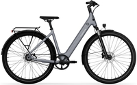 Damen E-Bike Tenways CGO800S grau. 2025 (Rahmenhöhe: Einheitsgröße von 155 - 190 cm)