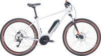 E-Bikes Bulls LT Performance 27, 5 grey. 2023 (Rahmenhöhe: Körpergröße: 190-205 cm (XL) / Akkukapazität: 545 Wh)