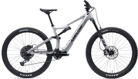 E-Mountainbikes Amflow PL Carbon 800 silber. 2025 (Rahmenhöhe auswählen: L Körpergr. 170 - 185 cm)