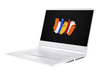 Acer ConceptD 7 Pro CN715-71P-75G8 - 15, 6" 4K UHD,  i7-9750H,  32GB,  1TB SSD,  Quadro RTX5000,  Win10Pro