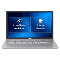 ASUS Business P1701FA-AU657R - 17.3" FHD,  i5-10210U,  16GB,  512GB SSD,  Win10 Pro