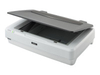 Epson Expression 12000XL - Flachbettscanner - A3