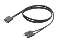 Lenovo Split Cable - Thunderbolt-Kabel - USB-C-/Stromanschluss bis USB-C,  Slim Tip