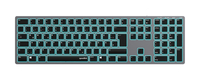 Logitech Tastatur LEVIA Illuminated Rechargeable Bluetooth retail - Tastatur sl-640100-gy