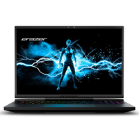 Medion ERAZER Beast X40e 30037277 Intel® Core? i7 - 2, 1 GHz