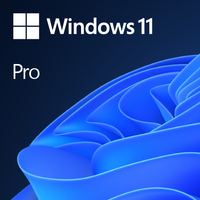 Microsoft Windows 11 Pro Lizenz ohne Installation win10pcoamar 