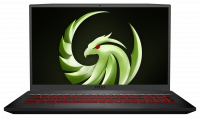 MSI Bravo 17 A4DDR-007 - 17.3" FHD,  Ryzen 7 4800H,  8GB,  512GB,  Radeon Pro 5500M,  Win10