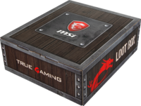 MSI Loot Box Pack WW (Level 1 957-1xxxxe-063 GV-/GL-/GP-/GF-Serie)