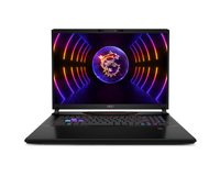 MSI Raider GE78 HX 13VG-090 - 17" QHD+ 240Hz,  Core i9-13980HX,  32GB RAM,  2TB SSD,  RTX 4070,  Win11 0017s2-090