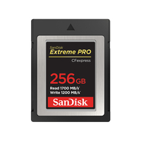 SanDisk Extreme Pro - Flash-Speicherkarte - 256 GB sdcfe-256g-gn4nn