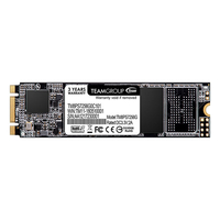Team Group MS30 - SSD - 256 GB - intern - M.2 2280 tm8ps7256g0c101