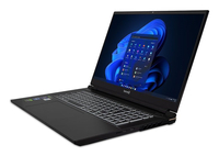 TERRA Mobile GAMER ELITE 5v2 1220782 Intel Core i9 13900HX / 2.2 GHz - Win 11 Pro