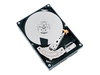 Toshiba MG03ACA100 - Festplatte - 1 TB - intern - 3.5" (8.9 cm)