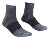 Alpinist Quarter Sock Men