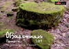 Boulderführer Bahratal OBouldering