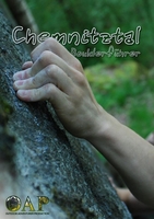 Boulderführer Chemnitztal