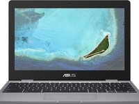 Asus Chromebook C223NA-GJ0102 (Grau) 11.6