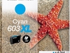 Epson 603XL (4, 0ml) CY (cyan)