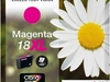 Epson Ink/18XL Daisy 6.6ml MG (rot)
