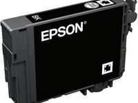 Epson Singlepack 502 Ink (Schwarz)