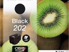 Epson Singlepack black 202 kiwi Clara Premium Ink (Schwarz)
