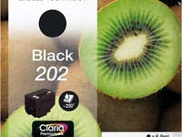 Epson Singlepack black 202 kiwi Clara Premium Ink (Schwarz)