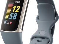 FITBIT Charge 5 (graublau/platin)