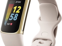 FITBIT Charge 5 (mondweiß/softgold)
