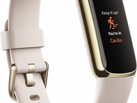 FITBIT Luxe (Gold/White)