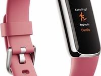 FITBIT Luxe (Platinum/Orchid)