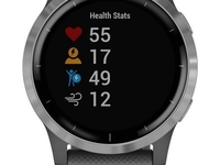 Garmin vivoactive 4 (dunkelgrau/silber)
