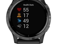 Garmin vivoactive 4 (schwarz/schiefergr)